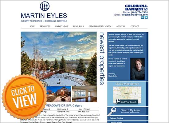 Realtor Website Sample 1