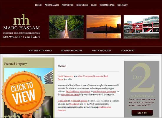 Realtor Website Sample 5